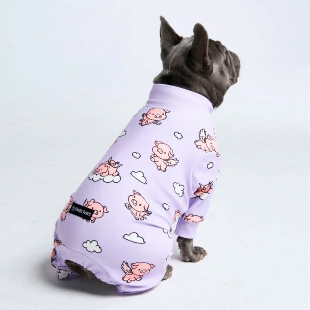 Image du produit 10