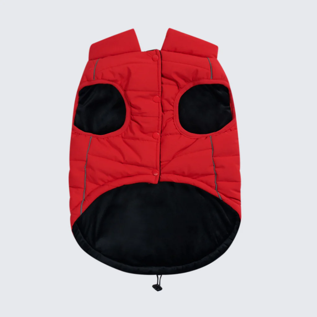 Image du produit 8